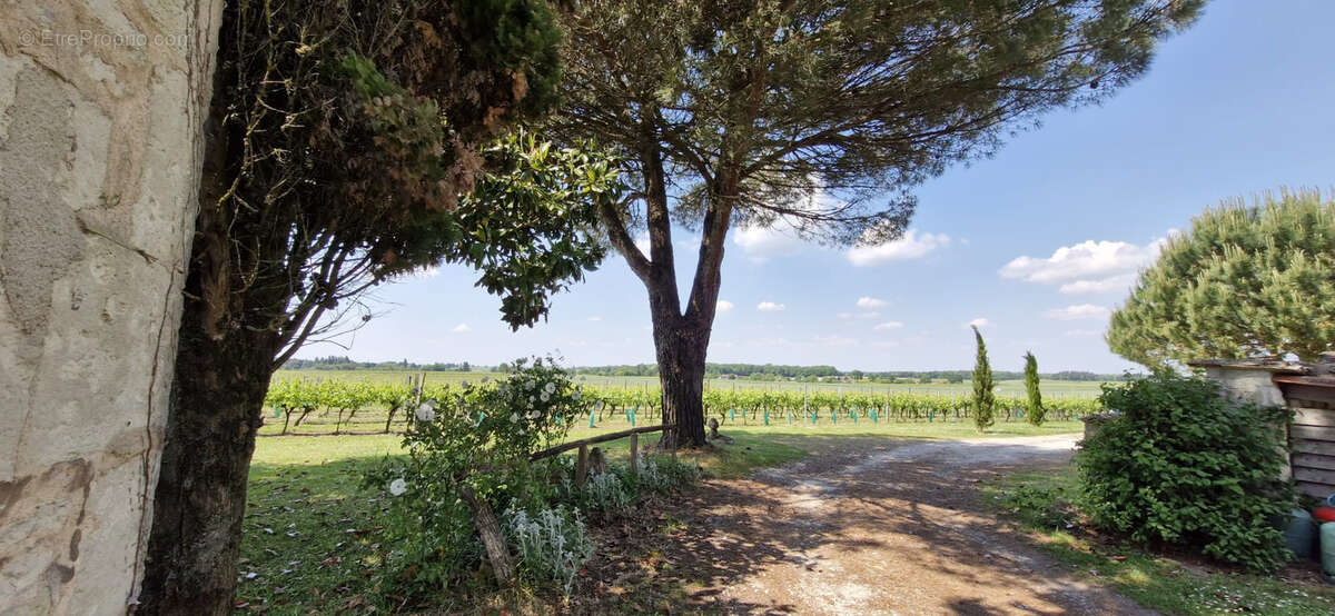 Maison à SAINT-FORT-SUR-GIRONDE