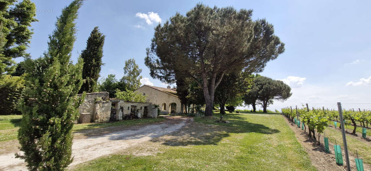 Maison à SAINT-FORT-SUR-GIRONDE