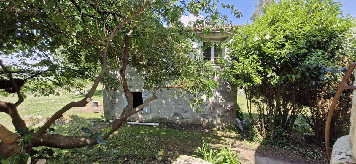 Maison à SAINT-FORT-SUR-GIRONDE