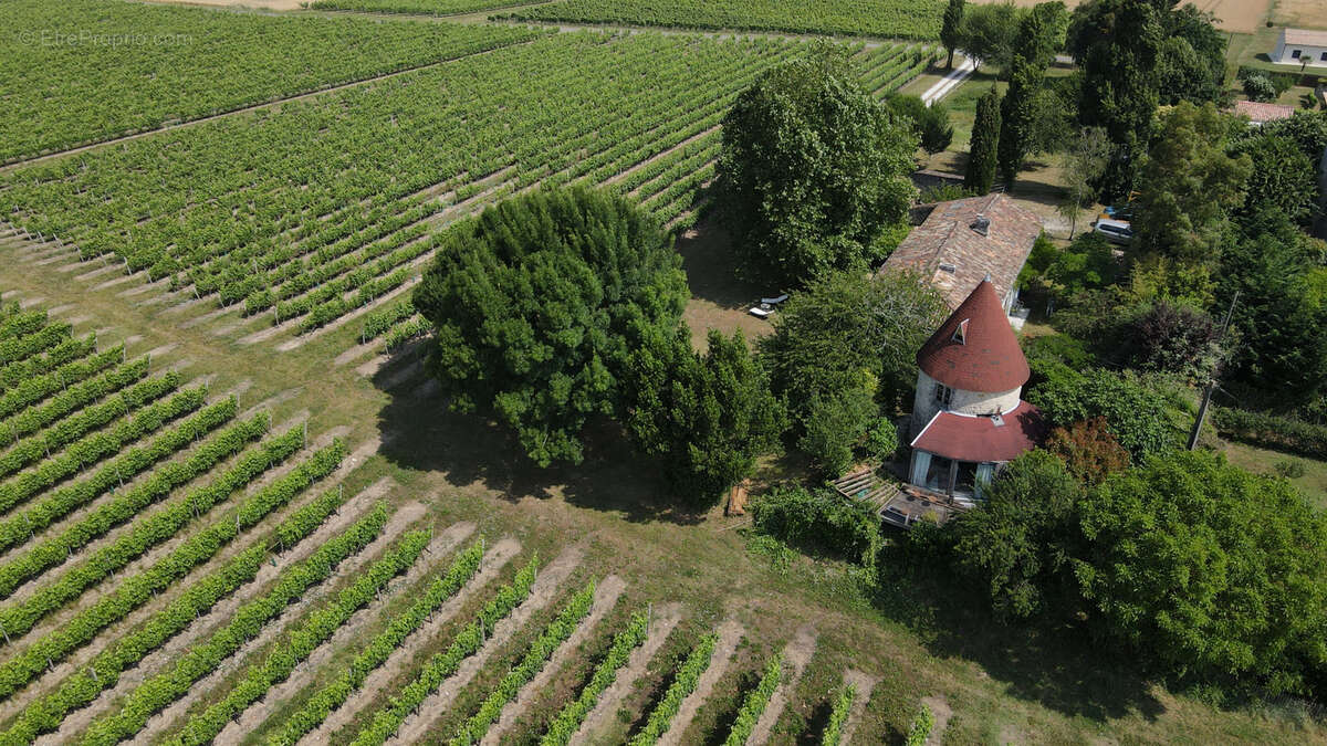Maison à SAINT-FORT-SUR-GIRONDE