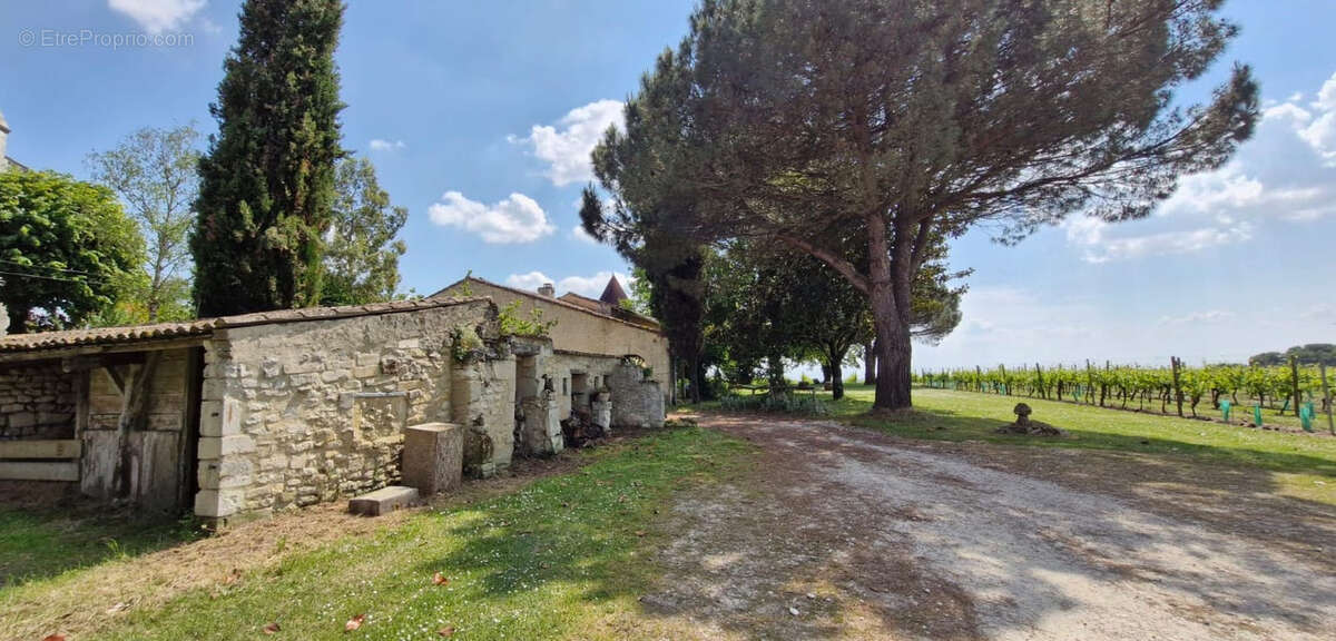 Maison à SAINT-FORT-SUR-GIRONDE