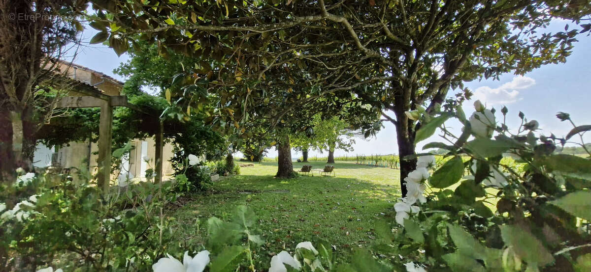 Maison à SAINT-FORT-SUR-GIRONDE