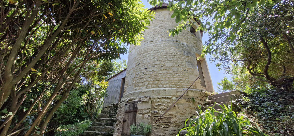 Maison à SAINT-FORT-SUR-GIRONDE