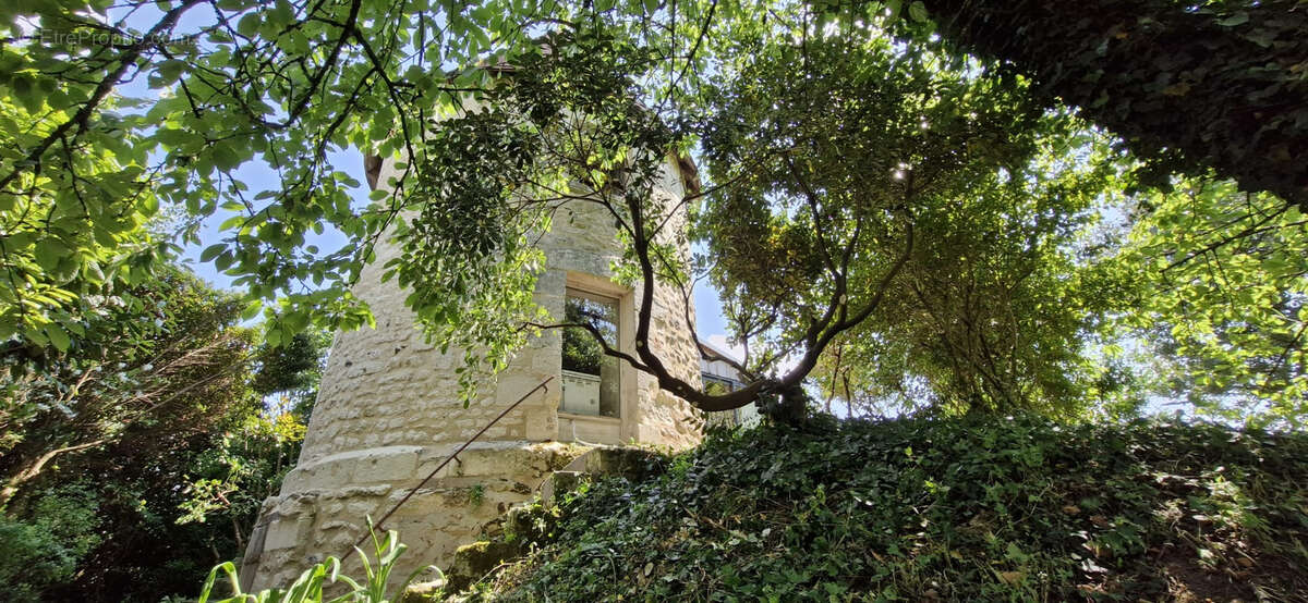 Maison à SAINT-FORT-SUR-GIRONDE