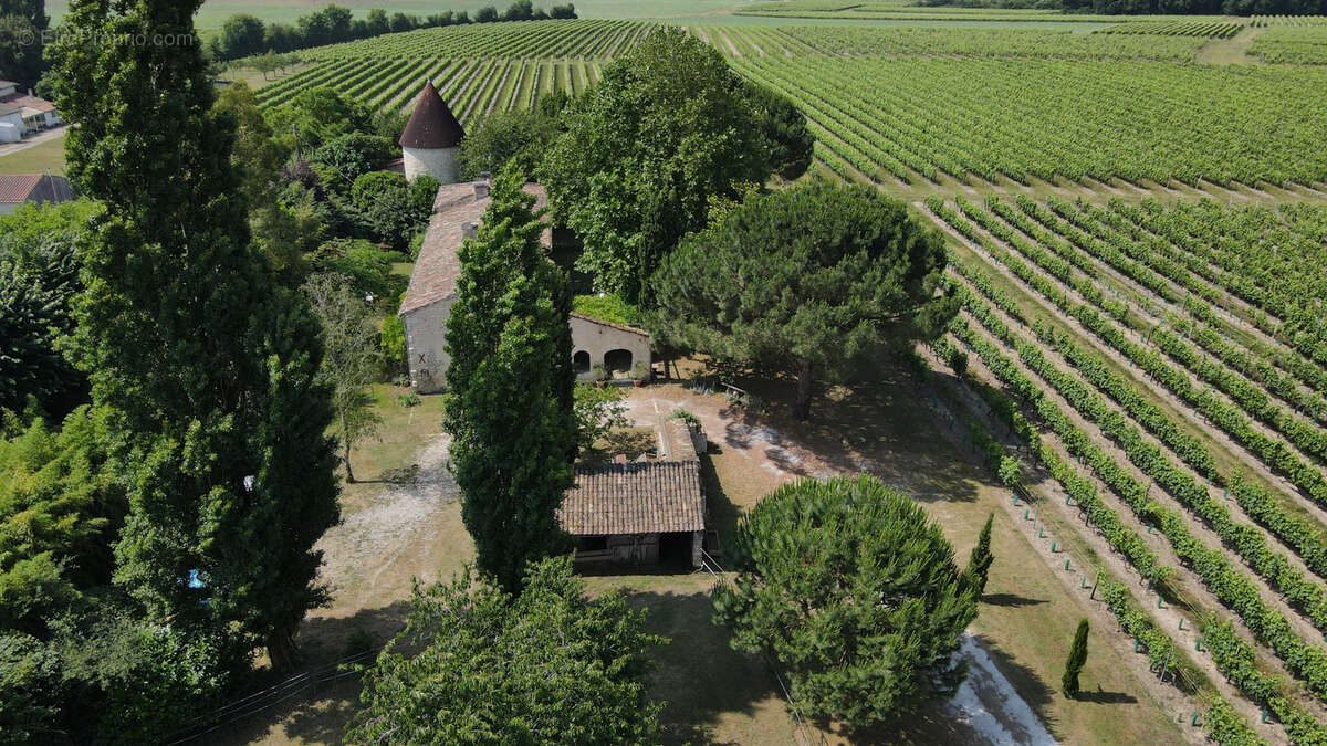 Maison à SAINT-FORT-SUR-GIRONDE