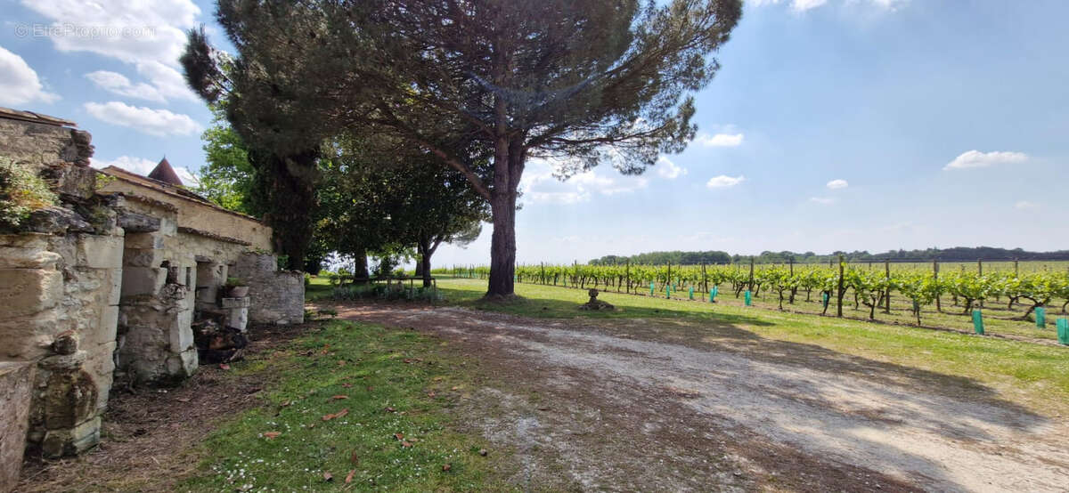 Maison à SAINT-FORT-SUR-GIRONDE