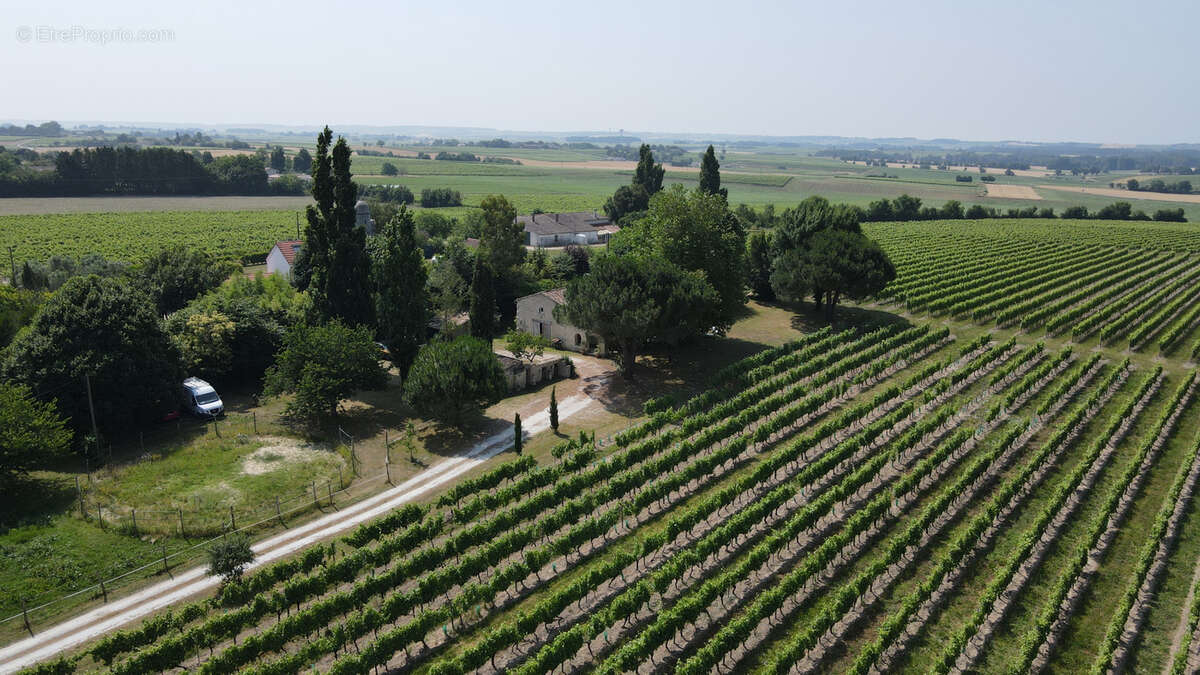 Maison à SAINT-FORT-SUR-GIRONDE