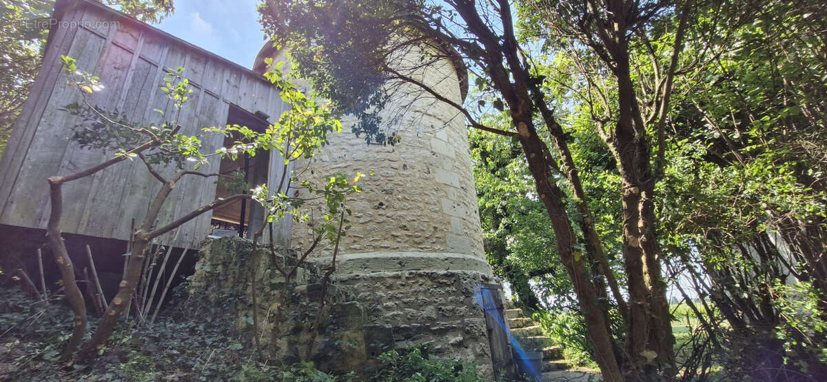 Maison à SAINT-FORT-SUR-GIRONDE