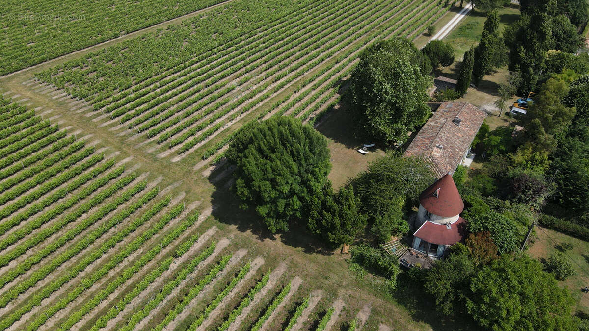 Maison à SAINT-FORT-SUR-GIRONDE