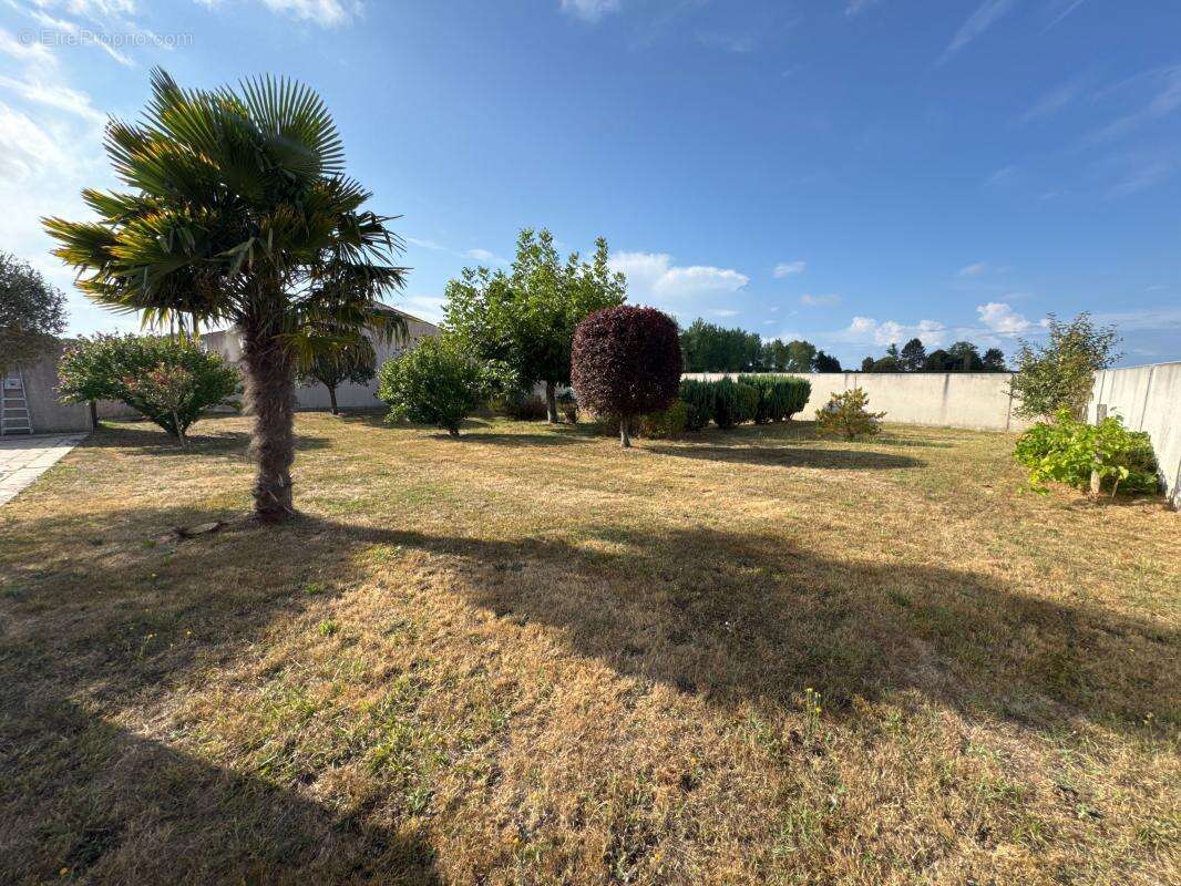 Maison à SAINT-PALAIS-SUR-MER