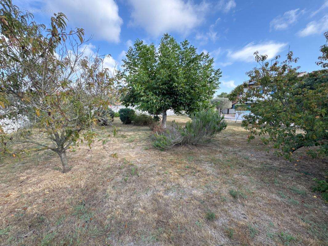 Maison à SAINT-PALAIS-SUR-MER