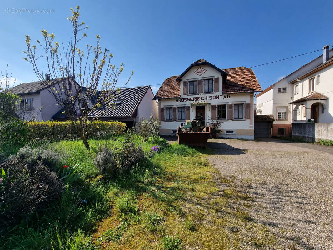 Maison à NIEDERHASLACH