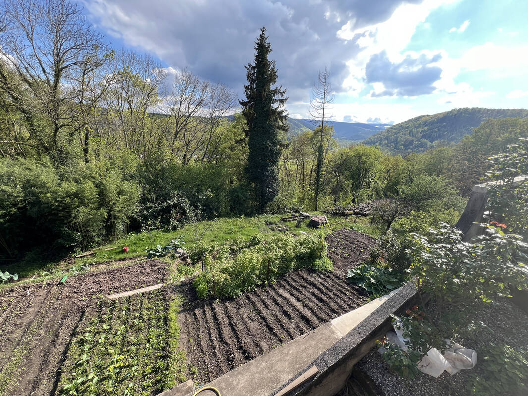 Terrain à HEILIGENBERG