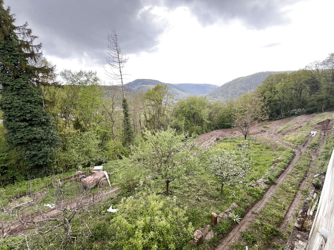 Terrain à HEILIGENBERG