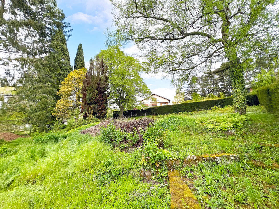 Terrain à HEILIGENBERG
