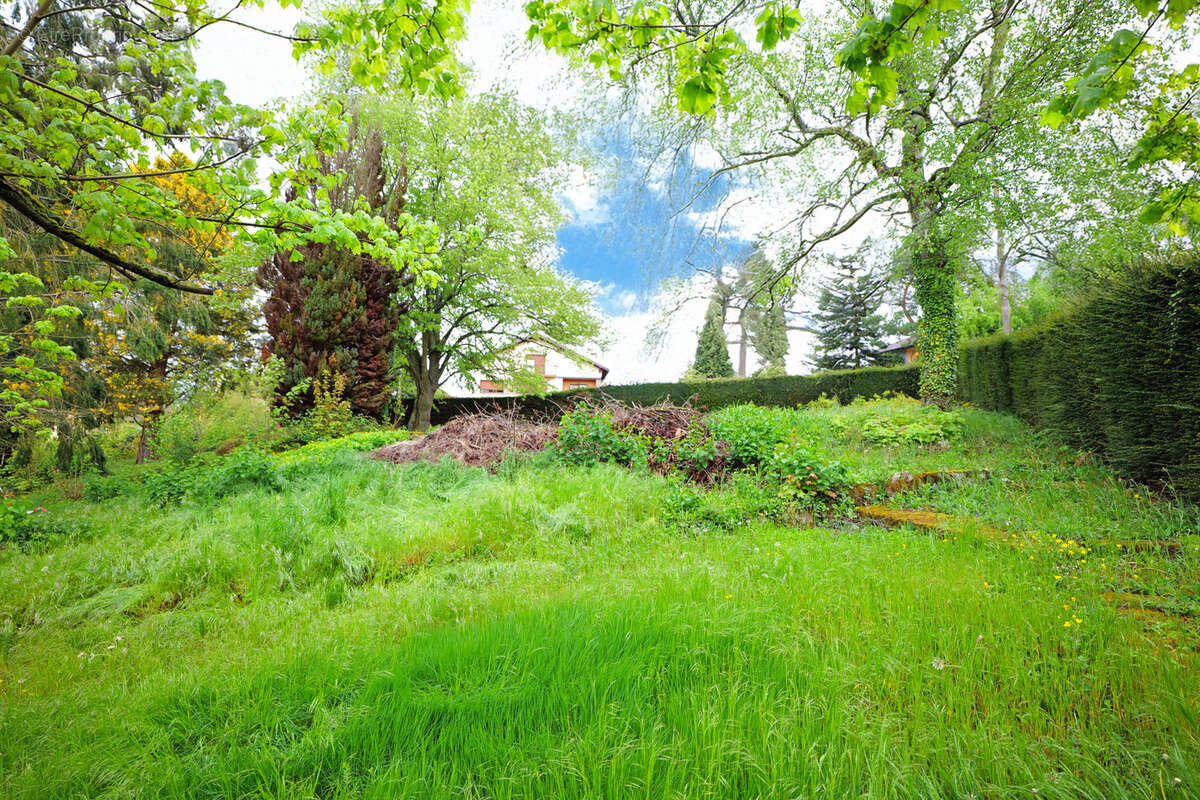 Terrain à HEILIGENBERG