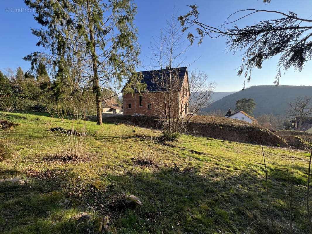 Terrain à HEILIGENBERG