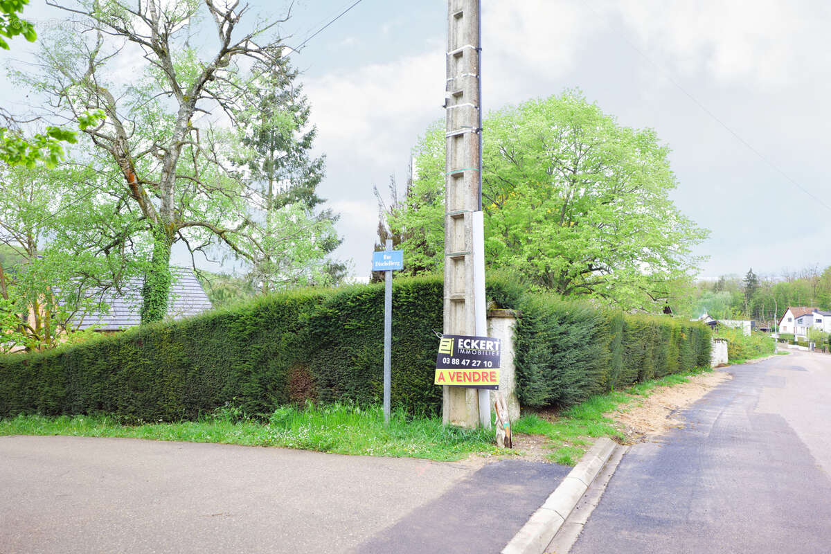 Terrain à HEILIGENBERG