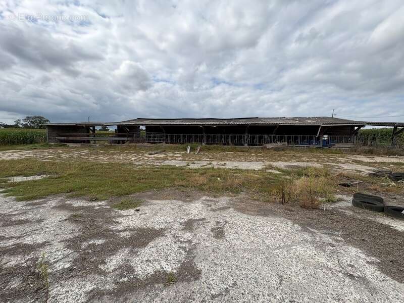 Maison à SAINT-ANDRE-DE-BOHON