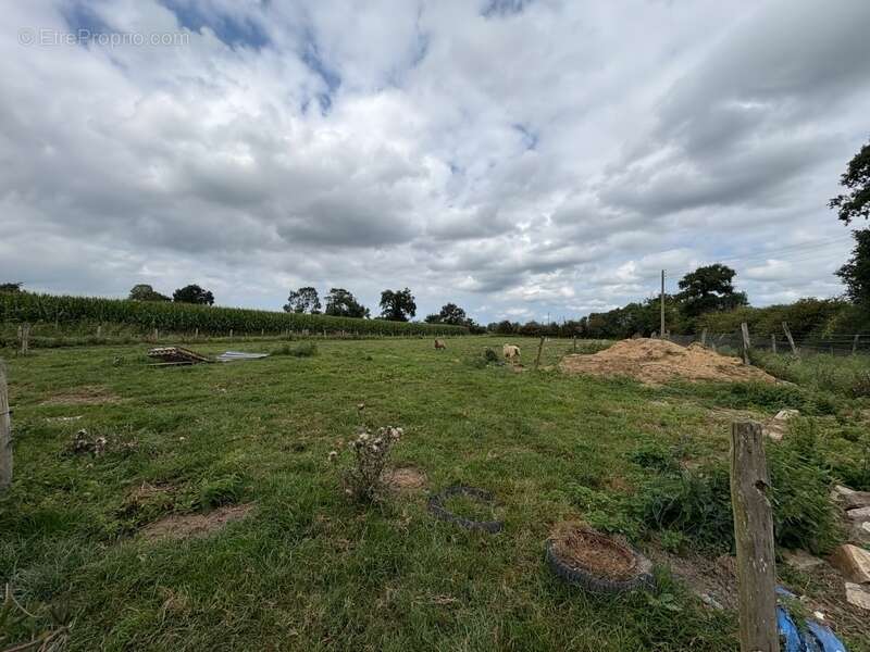 Maison à SAINT-ANDRE-DE-BOHON