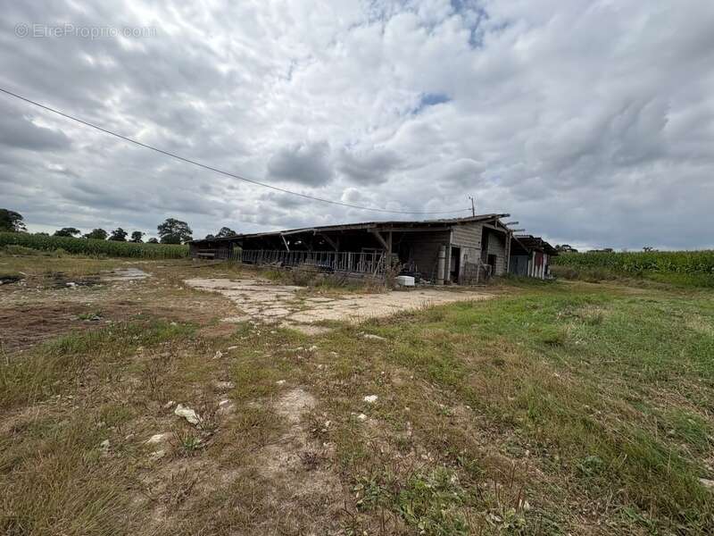 Maison à SAINT-ANDRE-DE-BOHON
