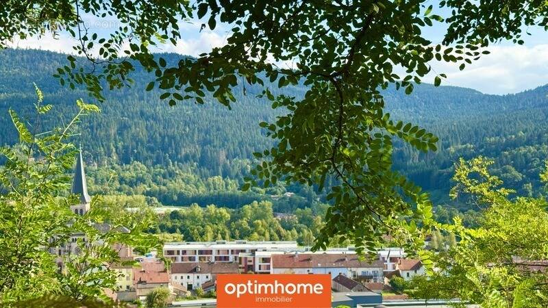 Terrain à SAULXURES-SUR-MOSELOTTE