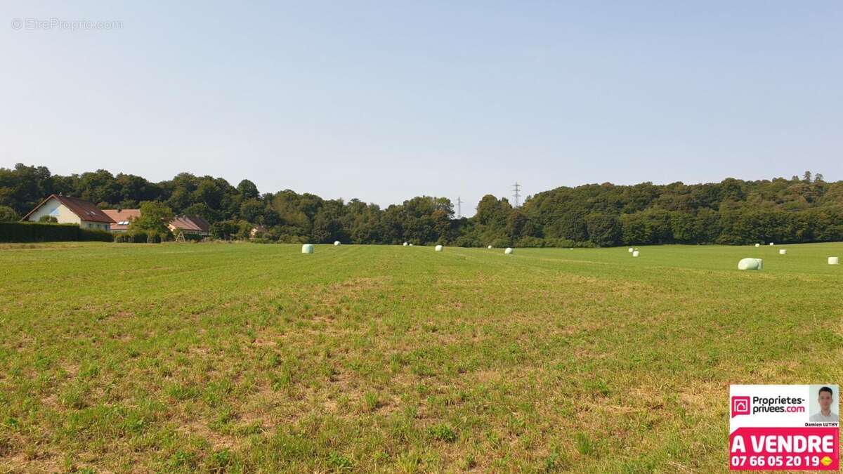 Terrain à BAVILLIERS