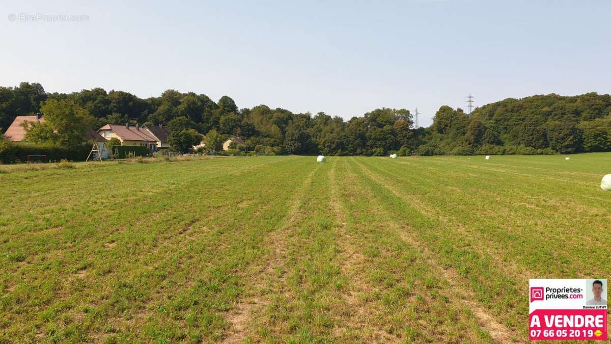 Terrain à DANJOUTIN