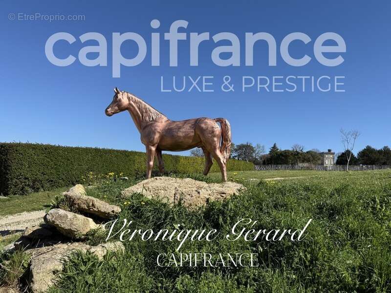 Maison à SAINT-CHRISTOPHE-DES-BARDES