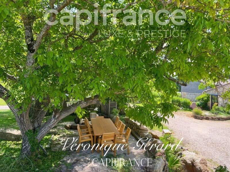 Maison à SAINT-CHRISTOPHE-DES-BARDES