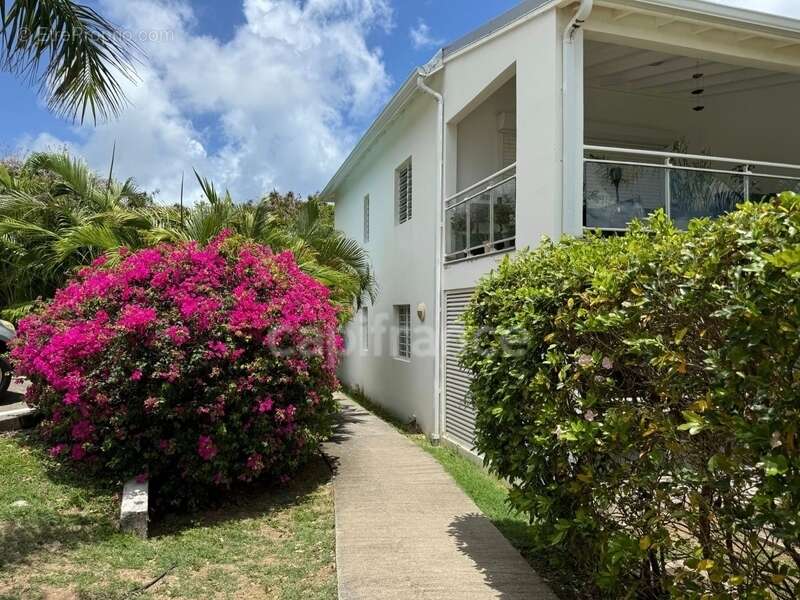 Appartement à SAINT-MARTIN