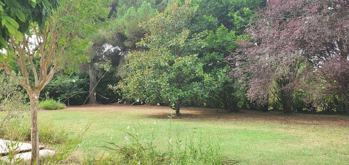 Maison à LAGARRIGUE