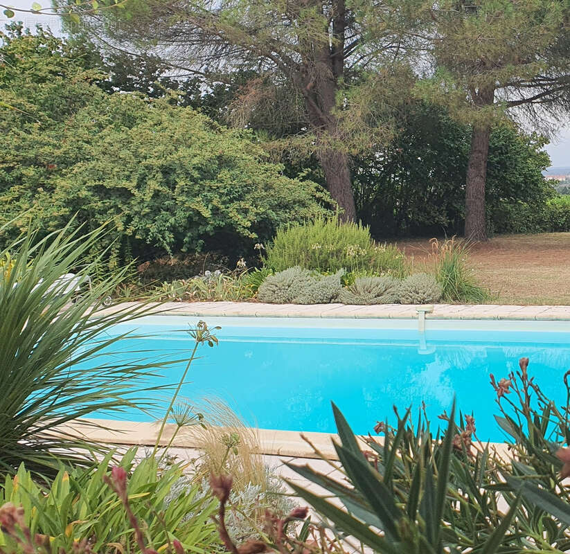 Maison à LAGARRIGUE