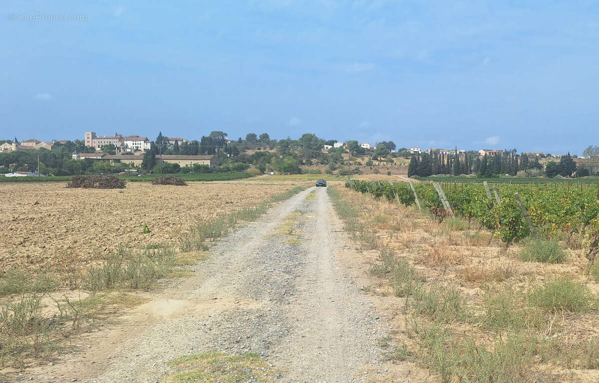 Terrain à VENTENAC-EN-MINERVOIS