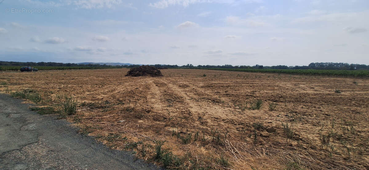 Terrain à VENTENAC-EN-MINERVOIS