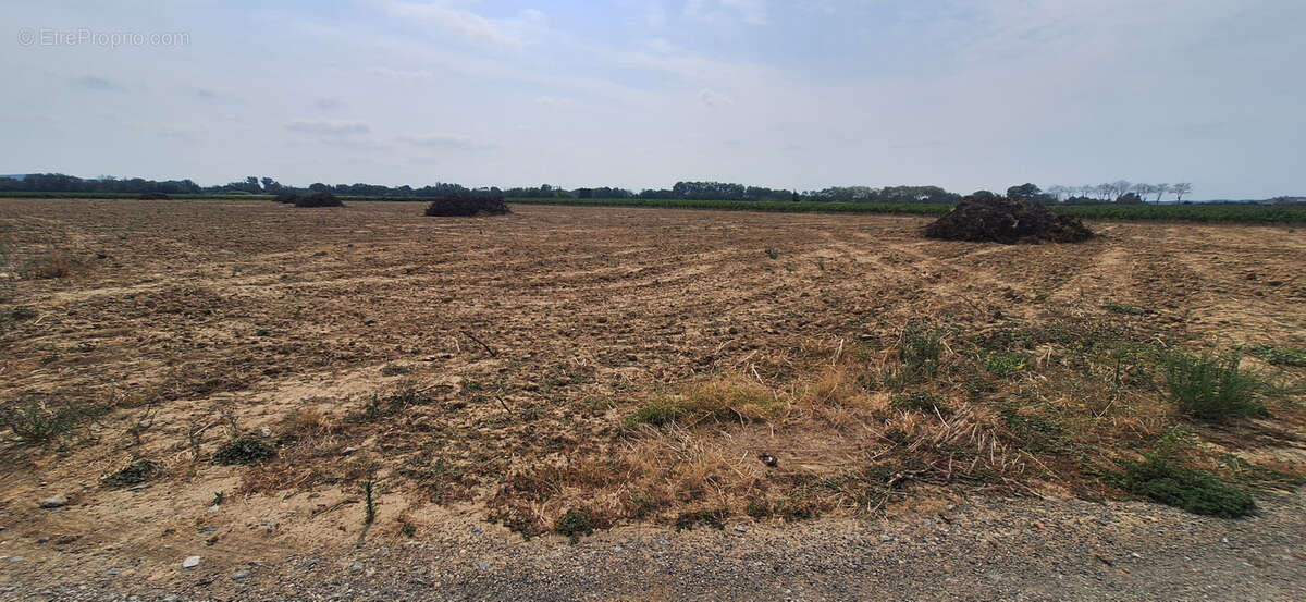 Terrain à VENTENAC-EN-MINERVOIS