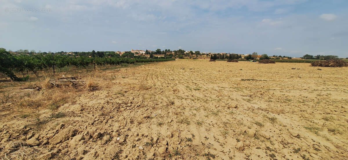 Terrain à VENTENAC-EN-MINERVOIS