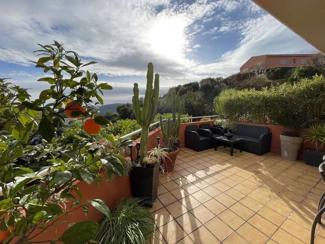 Appartement à MANDELIEU-LA-NAPOULE