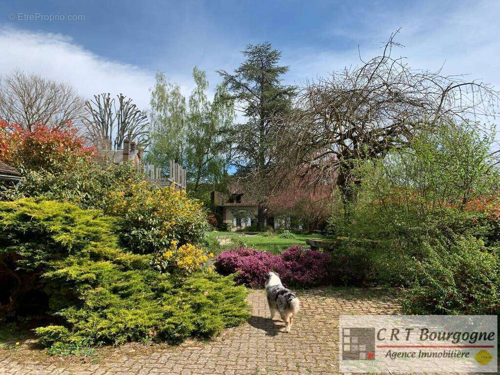 Maison à VILLIERS-SAINT-BENOIT