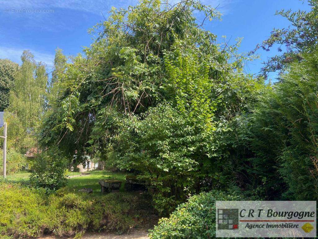 Maison à VILLIERS-SAINT-BENOIT