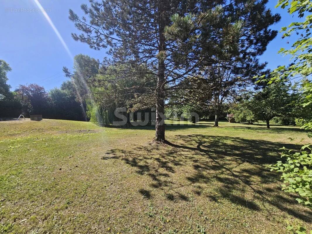 Terrain à ORCHAMPS