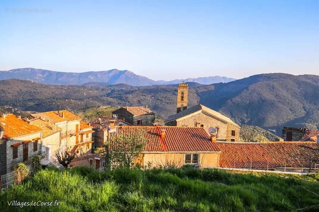 Appartement à SERRA-DI-SCOPAMENE