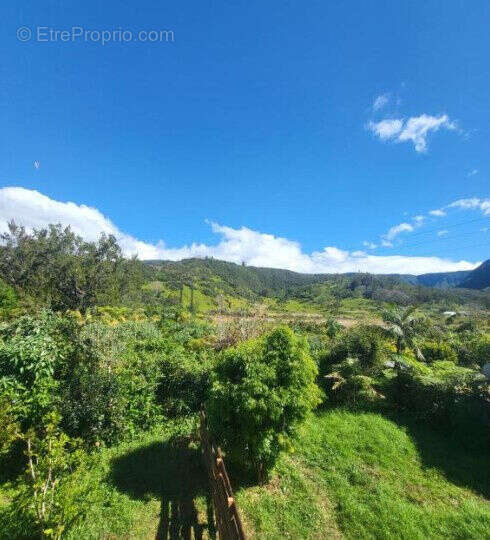 Photo 6 - Maison à LA PLAINE-DES-PALMISTES