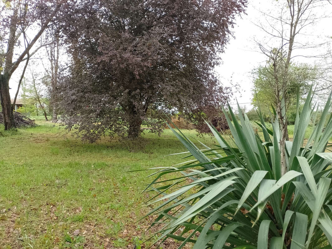 Terrain à MONDAVEZAN