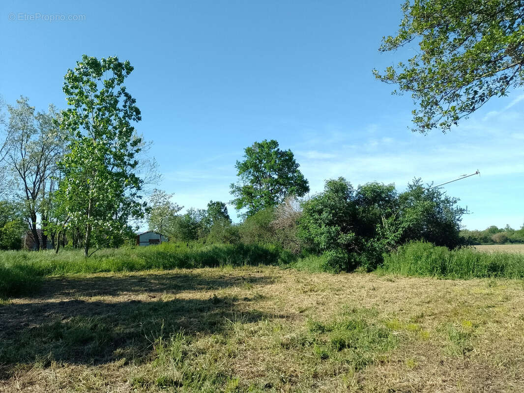 Terrain à MONDAVEZAN