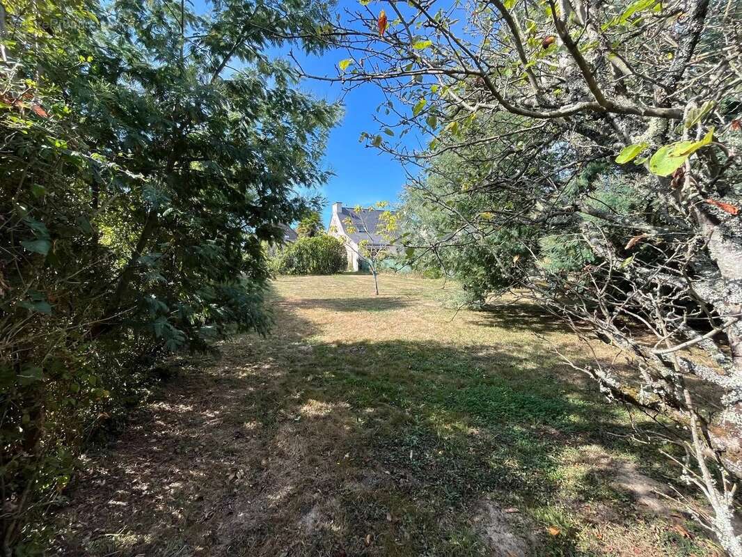 Terrain à SAINT-GILDAS-DE-RHUYS