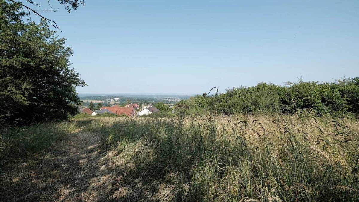 Terrain à SAINT-HONORE-LES-BAINS