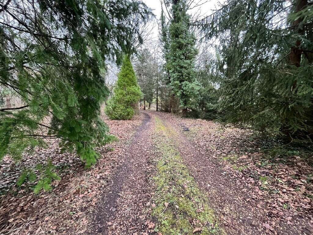 Maison à LAMOTTE-BEUVRON