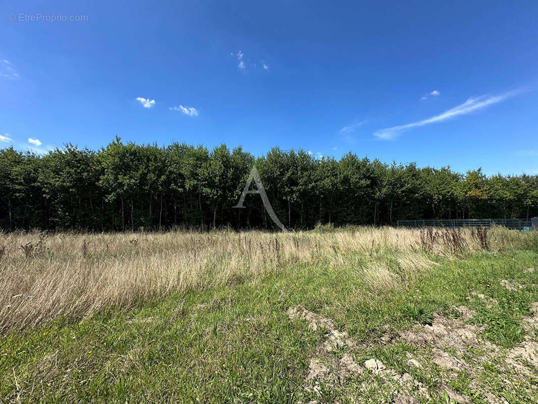 Terrain à BOIGNY-SUR-BIONNE