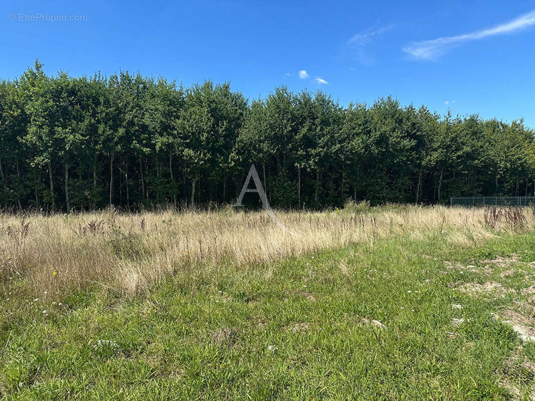 Terrain à BOIGNY-SUR-BIONNE